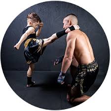 Image result for Vipers Thai/Kickboxing School