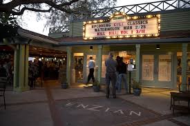 Image result for Enzian