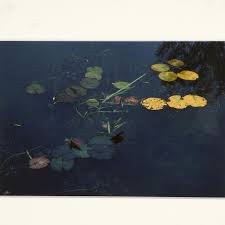 Image result for john batho