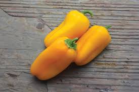 Afbeeldingsresultaat voor baby yellow sweet pepper