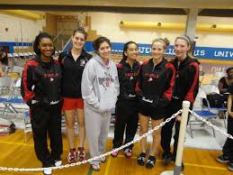 Image result for Loddon Sherpas (Hampshire) Badminton Club