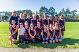 Image result for Pinehurst Netball Club