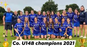 Image result for St Rita`s Camogie Club