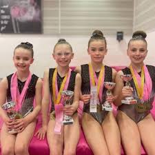 Image result for Redcar School Of Gymnastics