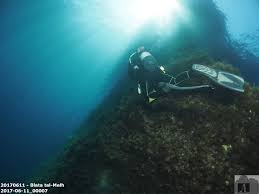 Image result for TAL Divers