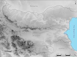 Attēlu rezultāti vaicājumam “Herzogiella seligeri sporophyte”