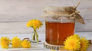 Image result for diente de leon