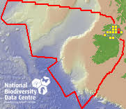 Attēlu rezultāti vaicājumam “Craspedosoma rawlinsi”