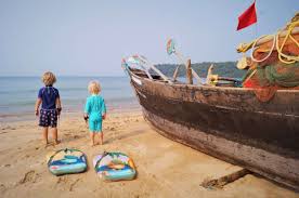 Image result for goa beaches