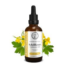 Attēlu rezultāti vaicājumam “Chelidonium majus”