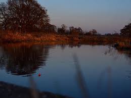 Image result for Woking & District Angling Association