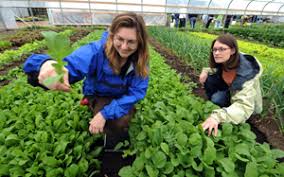 Pamela Martin, AB\u0026#39;89 (left), and PhD student Esther Bowen, AB\u0026#39;08, are testing claims about local farming. Pamela Martin, AB\u0026#39;89, grew up surrounded by corn ... - farm_stand1