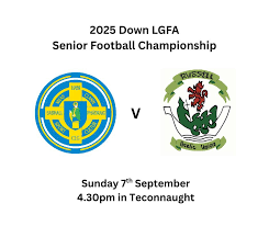 Image result for St Patrick`s Gac, Saul