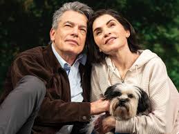 Image result for Bugaboo Cameleon Julianna Margulies