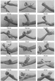 Image result for Hull Kung Fu