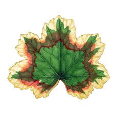 Attēlu rezultāti vaicājumam “Geranium palustre leaf”