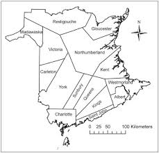 Attēlu rezultāti vaicājumam “Leiocolea heterocolpos”