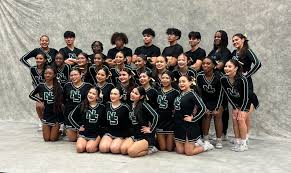 Image result for RT Twilights Cheerleading