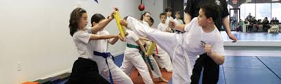 Image result for Hetton and Murton Karate Academy