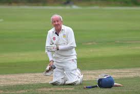 Image result for Yelverton Bohemians Cricket Club