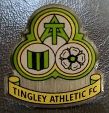 Image result for Tingley Athletic