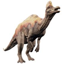 Bildergebnis für corythosaurus