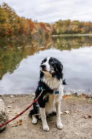 Image result for Loddon Valley Rambling Group