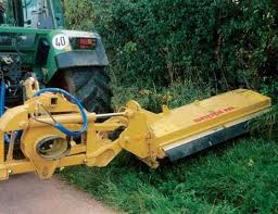 Image result for seppi tehron