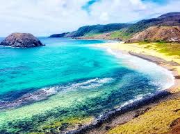 Image result for fernando de noronha