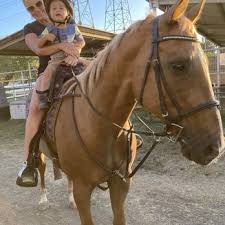 Image result for Kings Ranch Riding School/Club