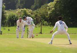 Image result for Much Wenlock Cricket Club