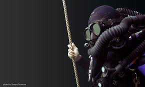 Image result for Headstream Divers