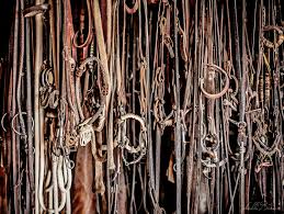 Image result for Thurrock BSAC