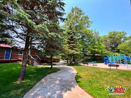 Image result for A J Activities, Herefordshire