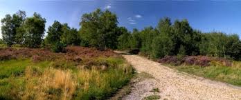 Image result for The Chobham Common Riders Association