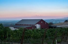 Image result for Owen Roe G A C Coleraine