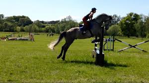 Image result for Bookham Riding Club