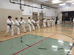 Image result for Edinburgh Karate do Shotokai