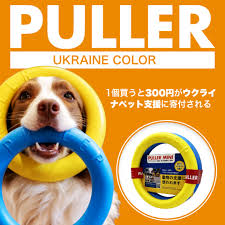 「ウルスラ・シュマルリージ ロッテのおもちゃ!」の画像検索結果