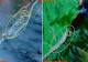 Dramatic satellite images of flood-ravaged Uttarakhand reveal the irrevocable ...