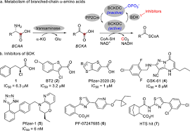 Image result for BCKA