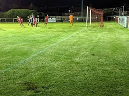 Image result for Darlington Athletic Club