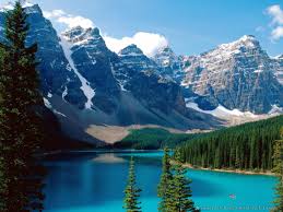 images?q=tbn:ANd9GcSe5NQvOYYcmCJDyvHR7OUz-PWkpYU1HMgDOYhy1dFy7DriJogi