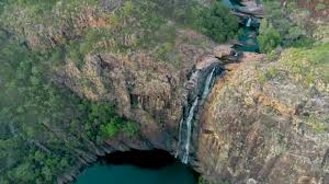 Billedresultat for kakadu n...