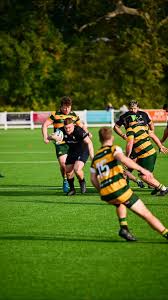 Image result for Harpenden Rugby Football Club
