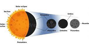 Attēlu rezultāti vaicājumam “Panolis umbra”