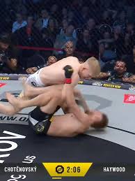 Image result for Junsui Shotokan Karate Do