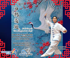 Image result for Wushu Tai Chi Club