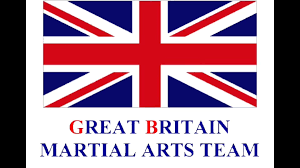 Image result for Great Britain Martial Arts Academy