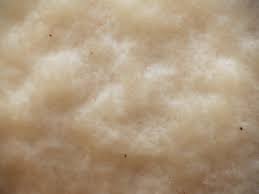 Attēlu rezultāti vaicājumam “Reticularia lobata young”